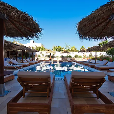 أنجيرا 2* Kamári